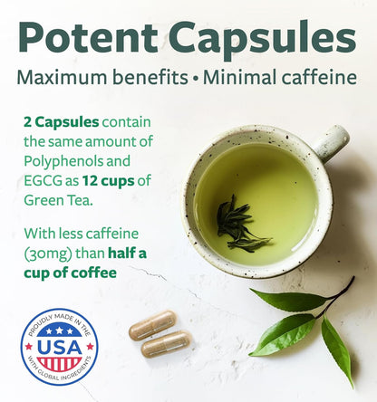 Green Tea Extract Ingredients and Benefits Callouts