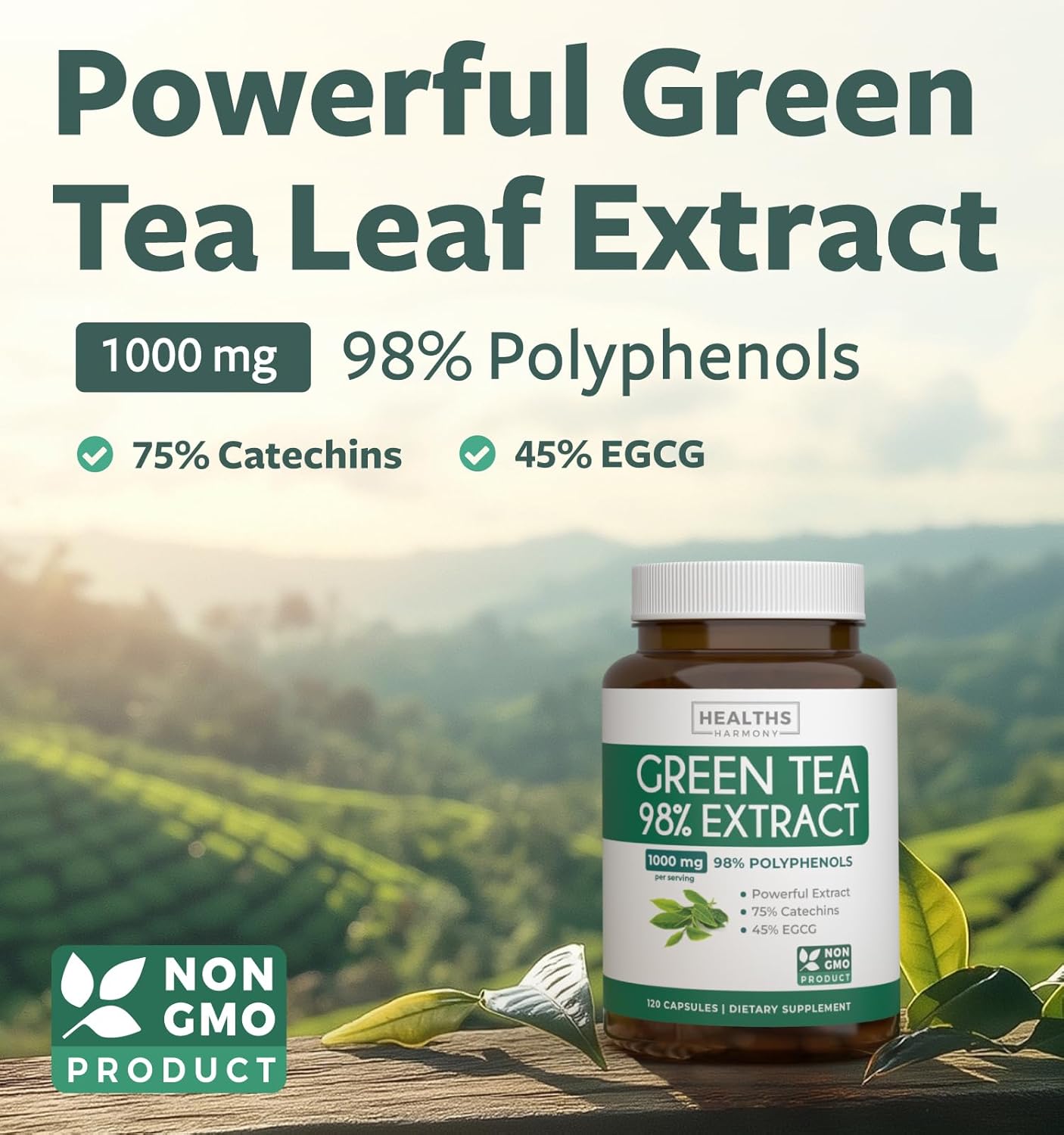 Green Tea Extract Capsule and Bottle
