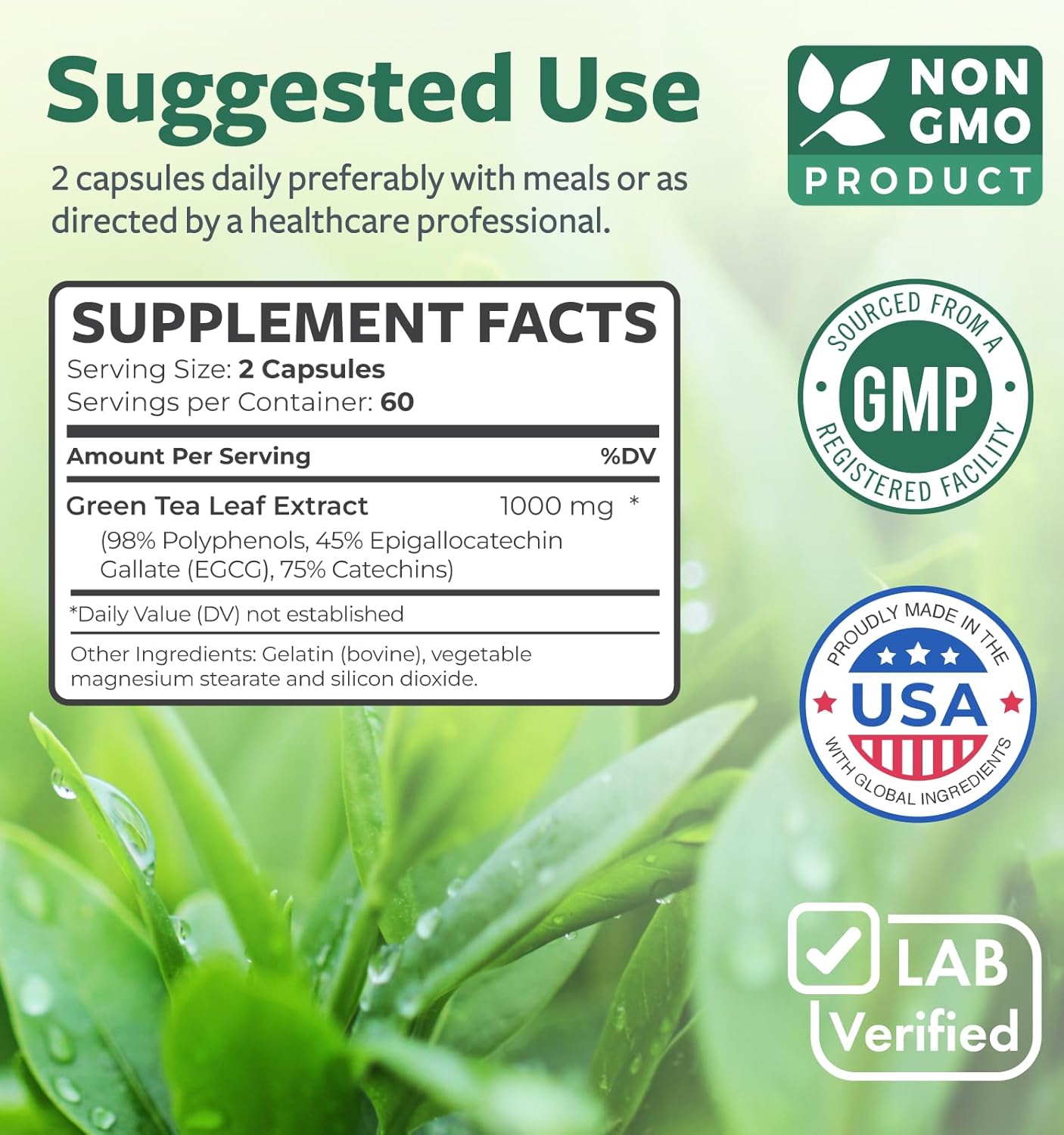 Green Tea Extract Antioxidant Properties