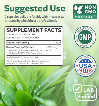 Green Tea Extract Antioxidant Properties